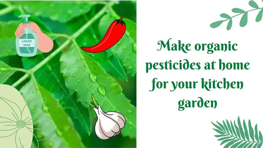 make organic pesticides at home
